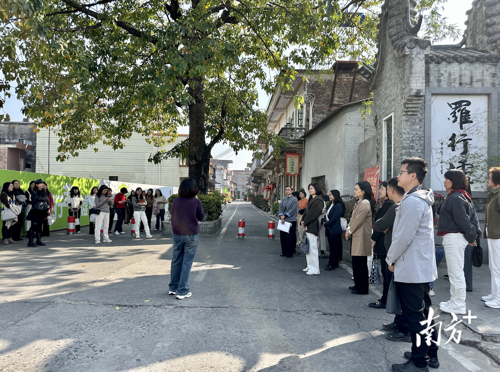 1月26日，南海区2025年度“美丽庭院”建设现场交流会在罗行社区举行，与会嘉宾参观罗行艺术墟及美丽庭院。