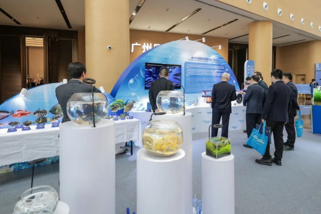 广州南沙正大力打造国际观赏鱼进出口贸易中心。