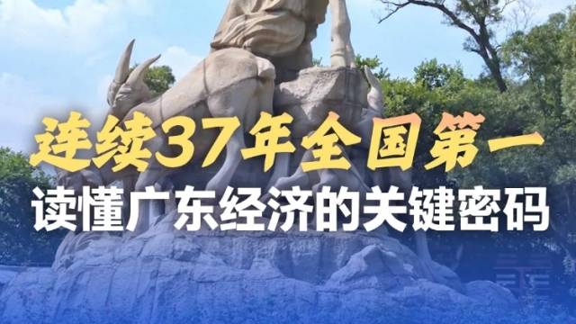 连续37年全国第一！读懂广东经济的关键密码