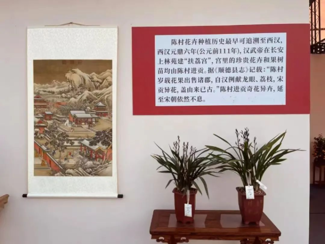 陈村早在西汉就因善于种植成为皇家御用植被的重要产地。图源：陈村镇  