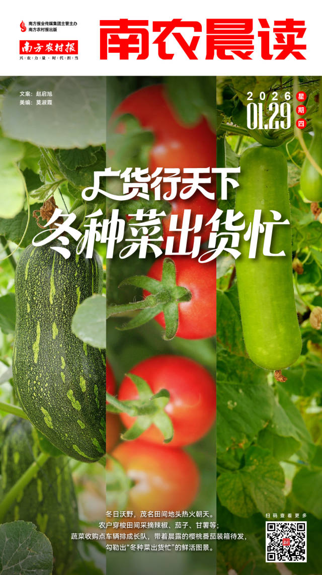 南方农村报 吴俊麒 制图