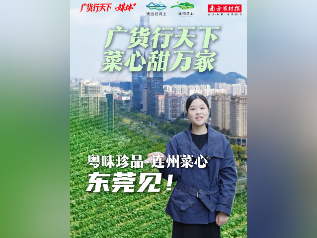 视频｜广货行天下，粤味珍品·连州菜心要来东莞啦！