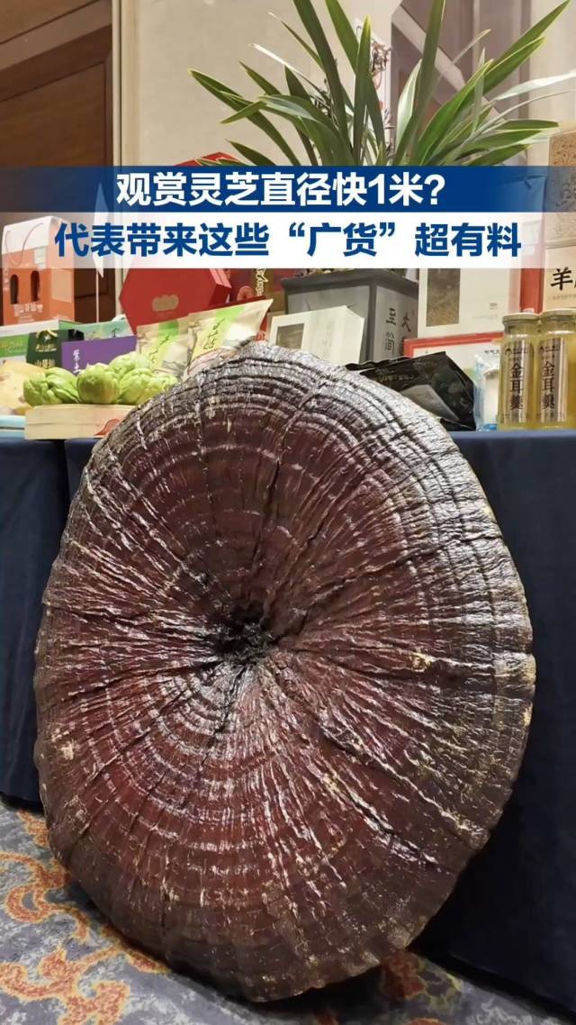 代表委员现场推介“广货”：履职接地气，代言有底气