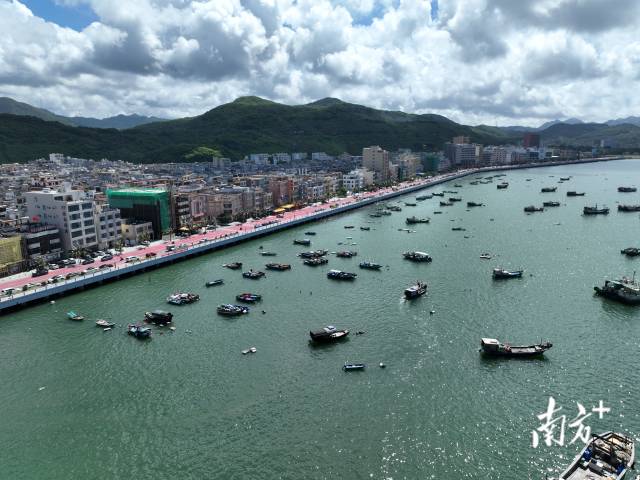 中心渔港已成为广东海洋渔业挺进深蓝的重要支撑。  南方农村报 谭家富 拍摄
