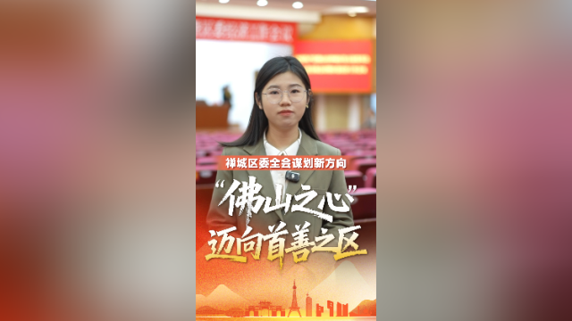 视频｜全会现场观察：“佛山之心”迈向首善之区