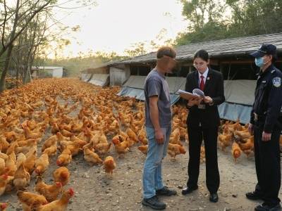 司法赋能“百千万工程”！台山法院以法治护航乡村振兴