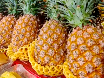 广货行天下，菠萝誉全球｜广东菠萝何以狂揽50亿产值？