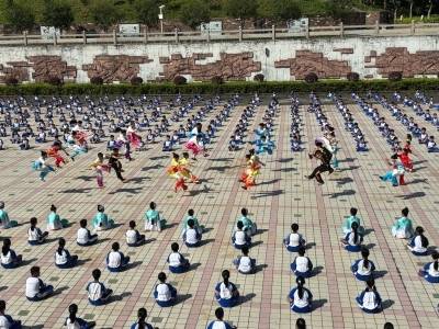 “五育融合”好项目｜大朗镇实验小学：以武为媒让传统文化在校园生根结果