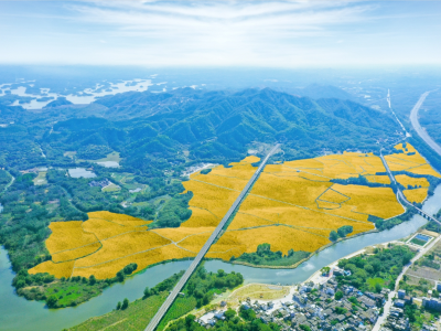 南方日报｜阳江阳东：大道通衢 融湾先行