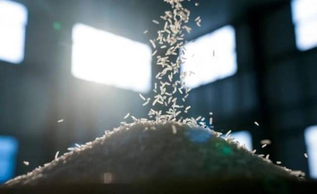 广东清远丝苗米。