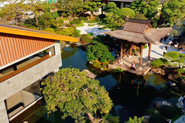 由苗圃转型升级而来的东方美学园林空间“晴岚之野”