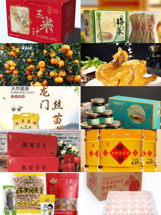 南方农村报 王富迪 拍摄