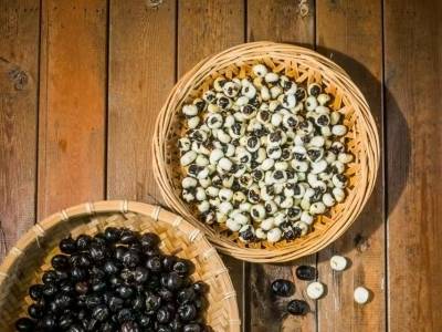 广货行天下·阳江有靓嘢⑧| 这颗“盐碱地珍珠”，承包餐桌鲜糯滋味