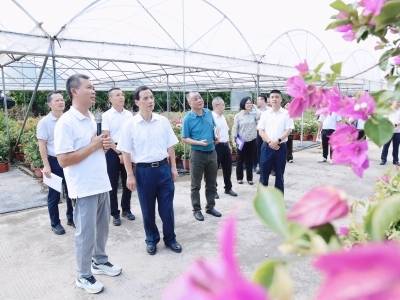 两会前奏①｜农房改造逾万户，中山市人大四部门亮实绩