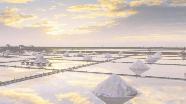 广东盐业：深耕小产品，守护大民生｜党建领航 国企争先