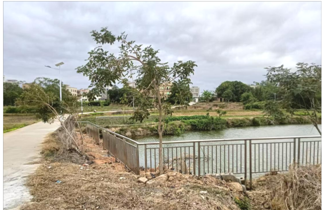 安装好的防护栏