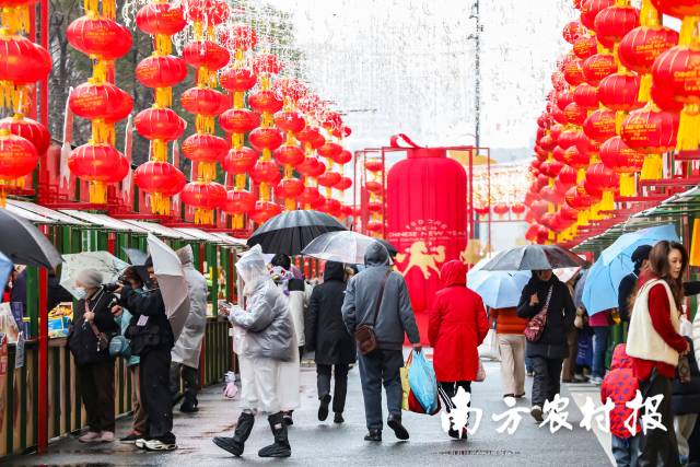 南方农村报 吴秒衡 拍摄