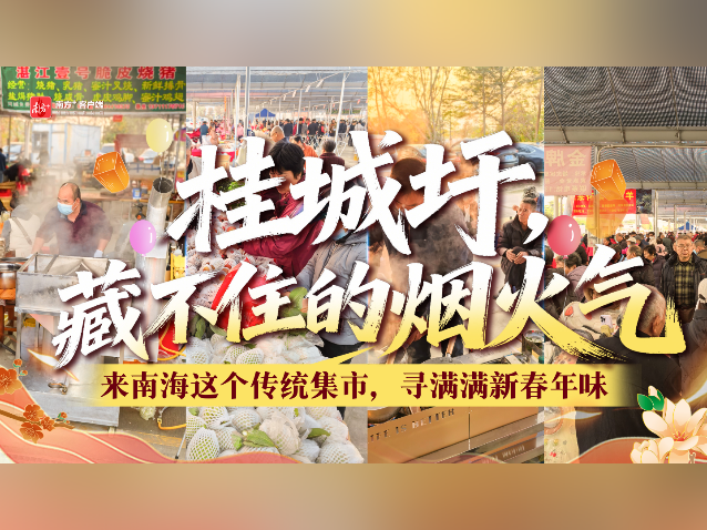 镜头已就位！带你逛南海最有烟火气的新春市集