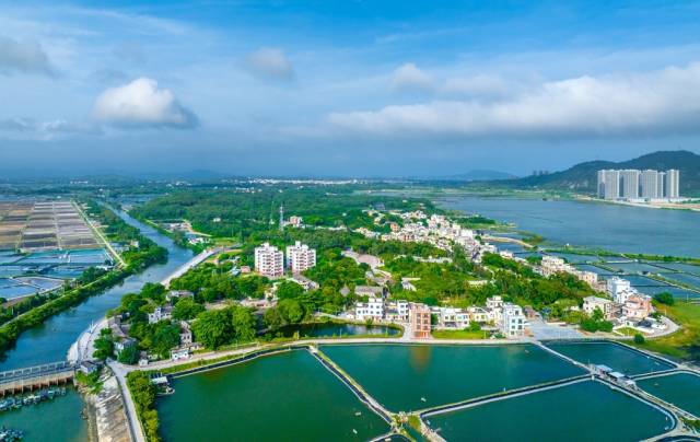沙扒镇渡头村是阳西县“牧海耕田·阳西味道”乡村振兴示范带上的一条特色精品村。