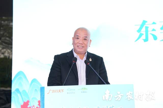 东莞市餐饮行业协会会长王志良对连州菜心有着高度评价。