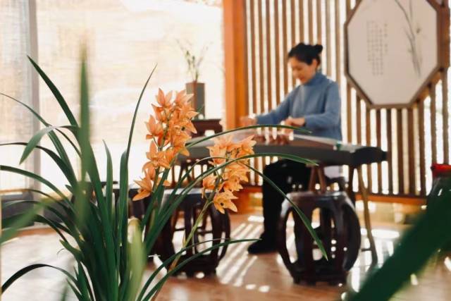 近年来，翁源县致力于兰花品种的培育与研发。