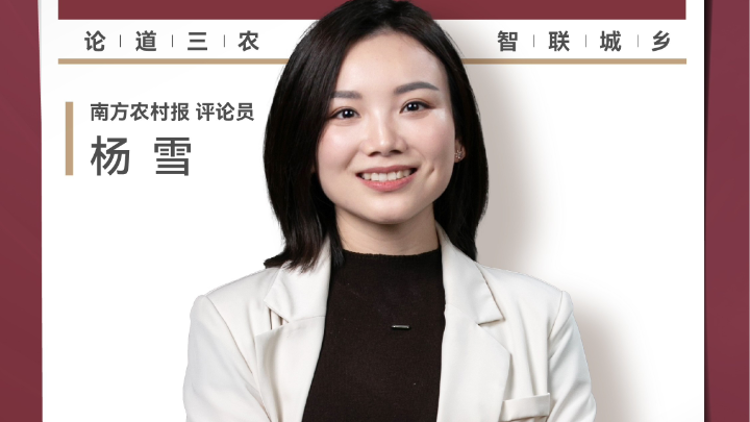 兴农评 | “反向春运”火了，展现城乡融合新图景