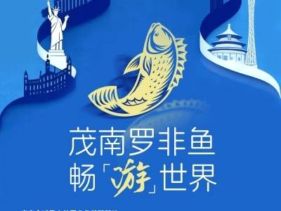 出口创汇上亿元，茂南罗非鱼畅“游”世界