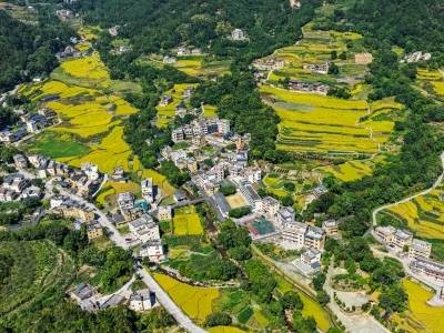 何以实现“两连优”？看“百千万工程”茂名实践足迹｜砥砺五年 茂名向新①