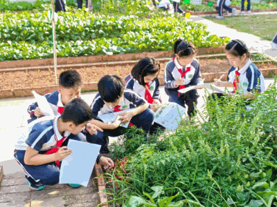 “五育融合”好项目｜莞城和阳小学：智造劳动小院，深耕五育沃土