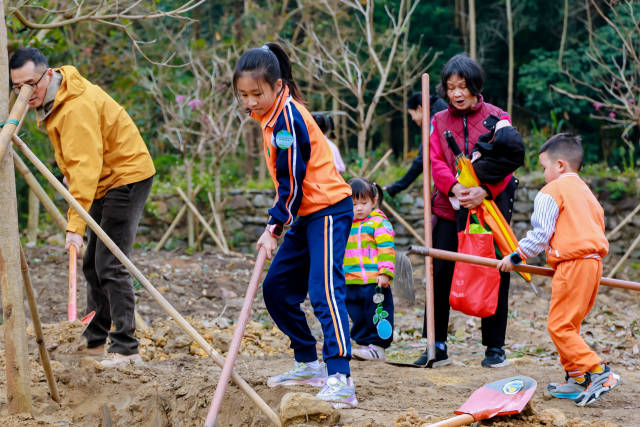 通讯员 林荫 供图