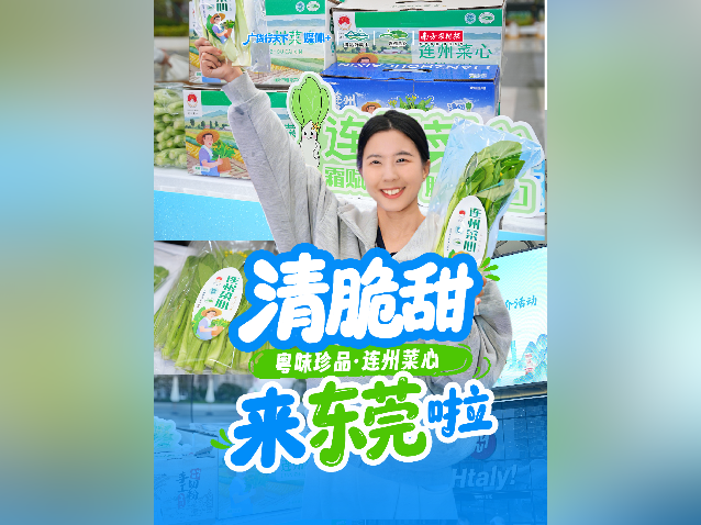 视频｜清脆甜，粤味珍品连州菜心来东莞啦