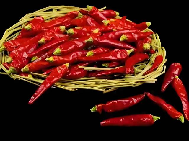遵义朝天椒。