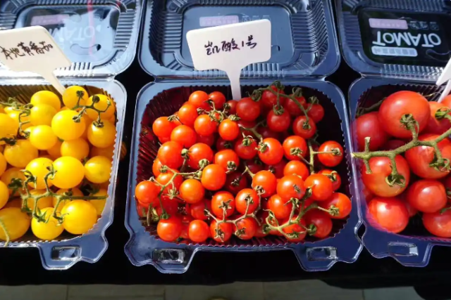 贵州酸汤原料。