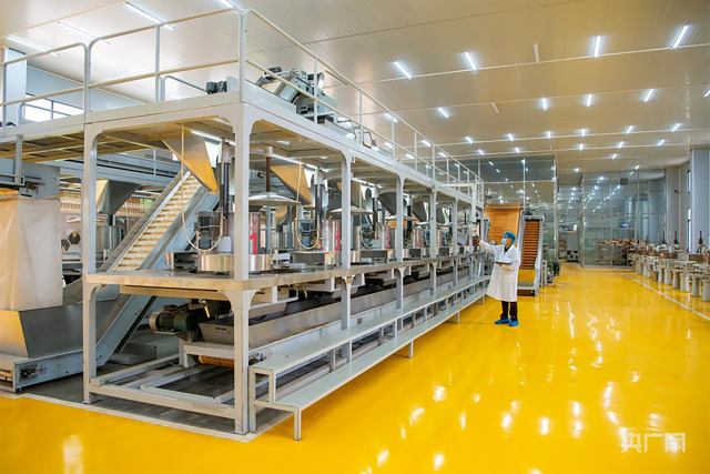 英德红茶中央智能工厂