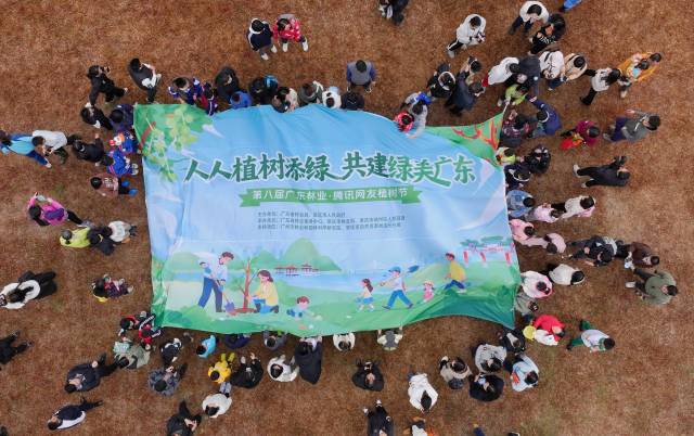 通讯员 林荫 供图