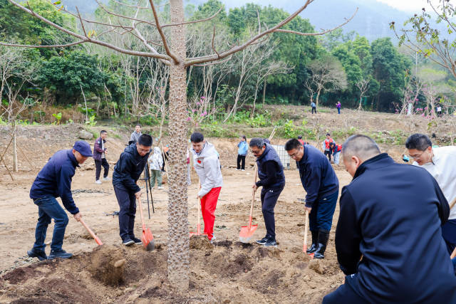 植树现场  通讯员