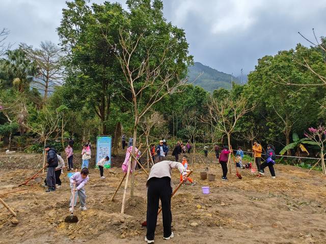 通讯员 林荫 供图