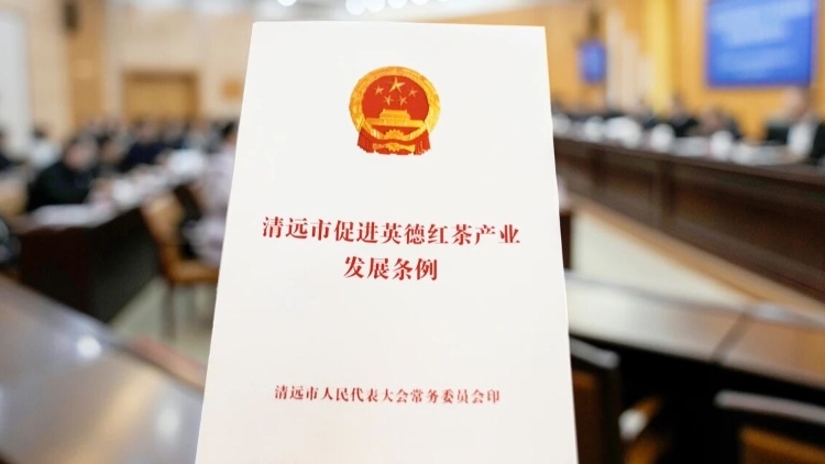 《清远市促进英德红茶产业发展条例》2月1日正式施行