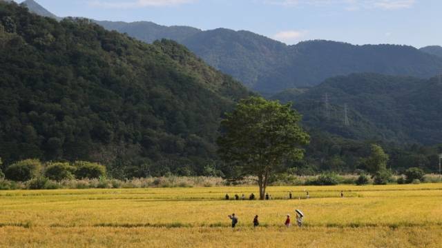 听着粤语版《嘉禾望岗》，坐14号线来从化，风景会治愈你
