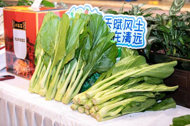 展示台上摆放着新鲜的连州菜心，与 “天赋风土・自在清远”交相辉映，突出了连州菜心的产地优势。