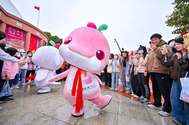 “大湾鸡”与市民友好互动