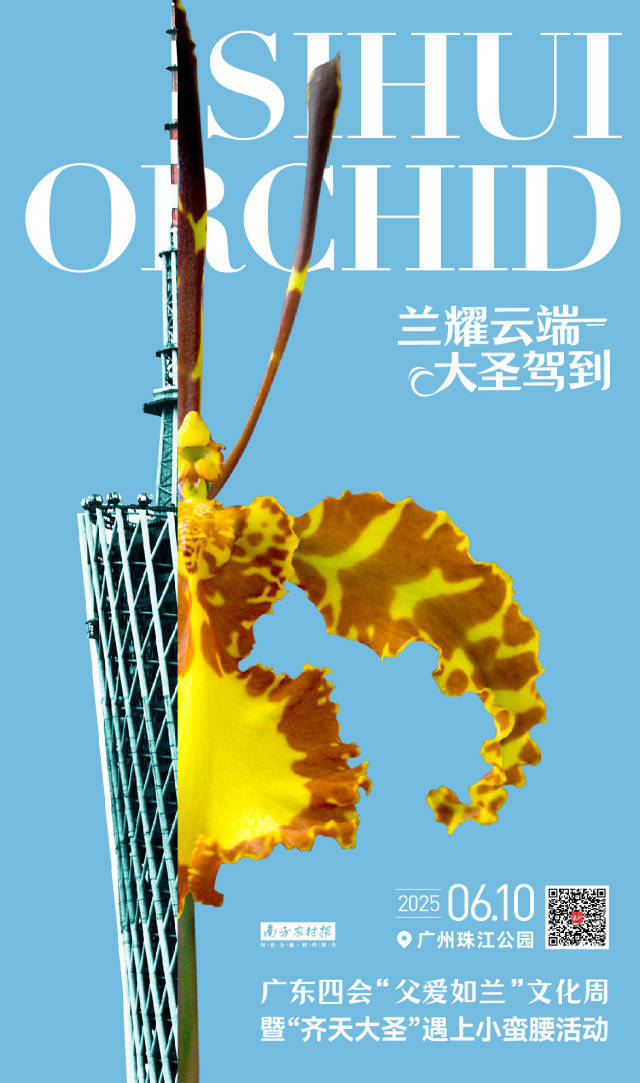 2025年，四会兰花牵手“小蛮腰”。