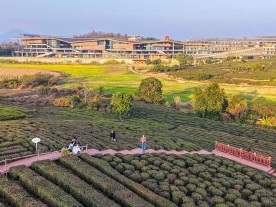 靠文旅破圈，博罗柏塘如何为城乡三产融合“打个样”？