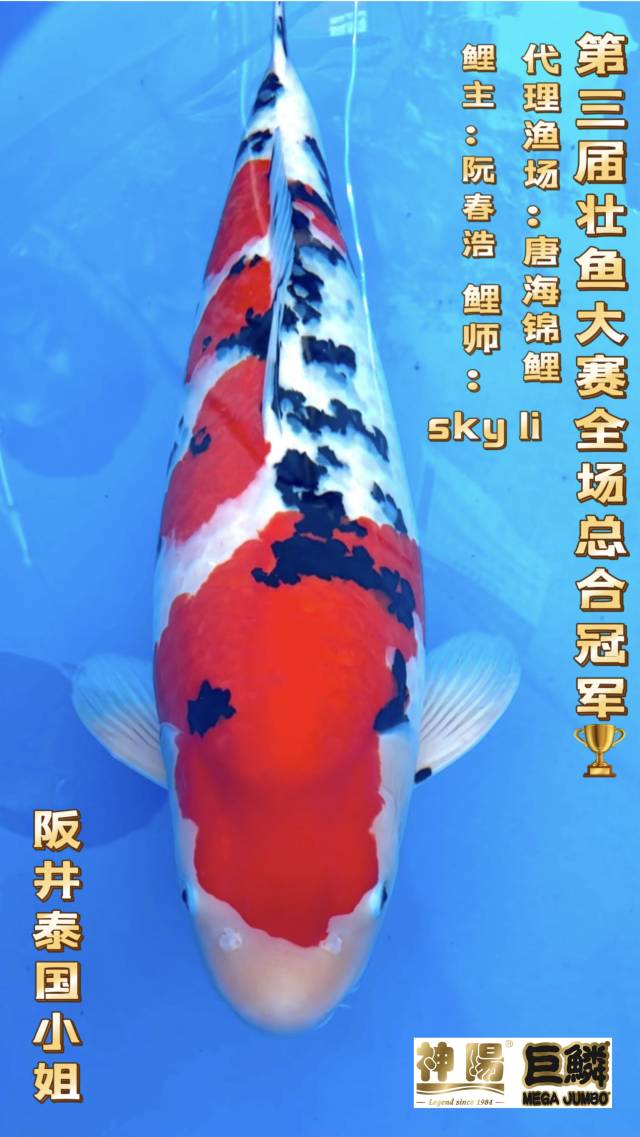 南方农村报 杨玲 拍摄