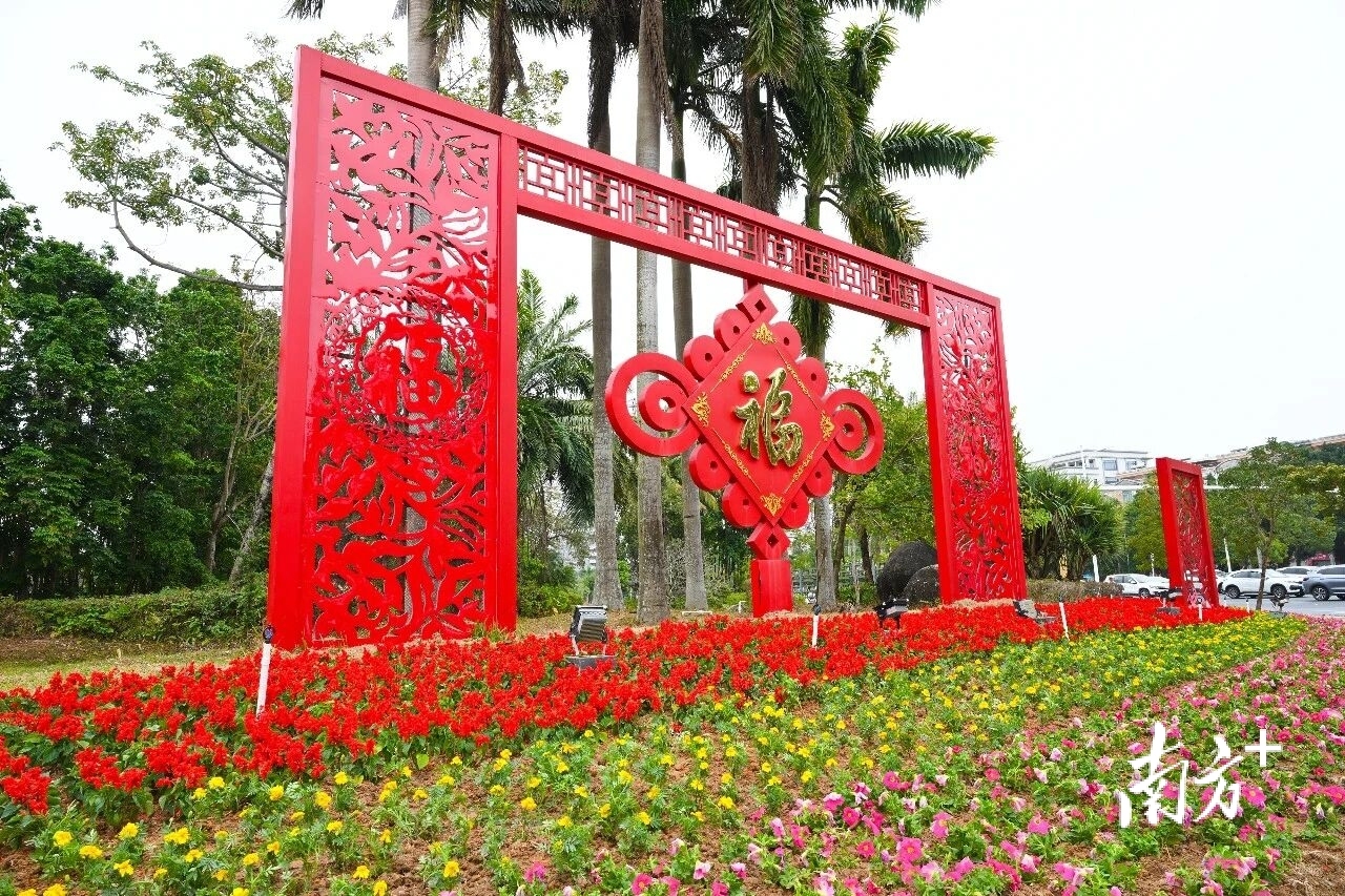 在西平北路导向岛，不仅有各色花卉，还有大型的中国结雕塑，年味十足。梁文栋 摄