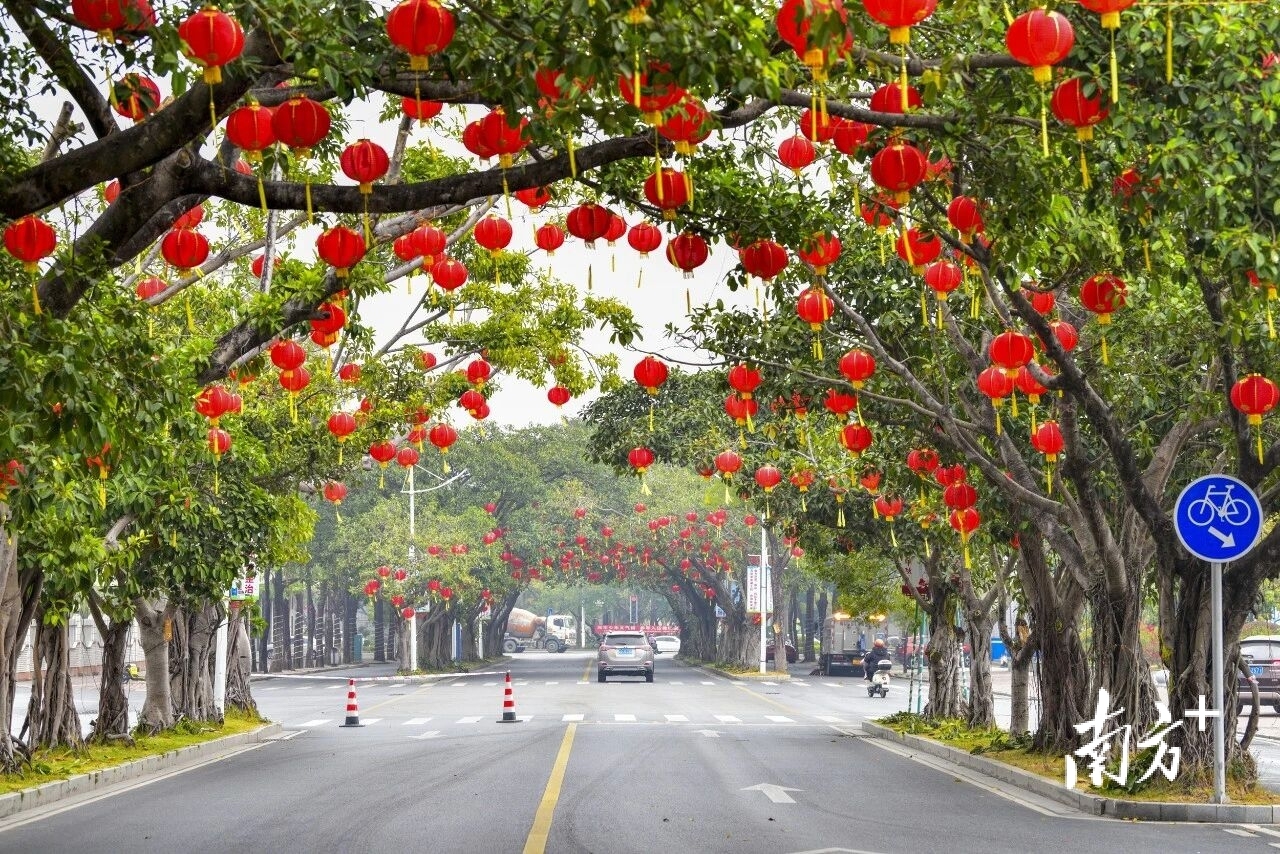 阳东区的德政路、东风四路、湖滨路等地也陆续挂上红灯笼与特色灯饰。 林显沛 摄