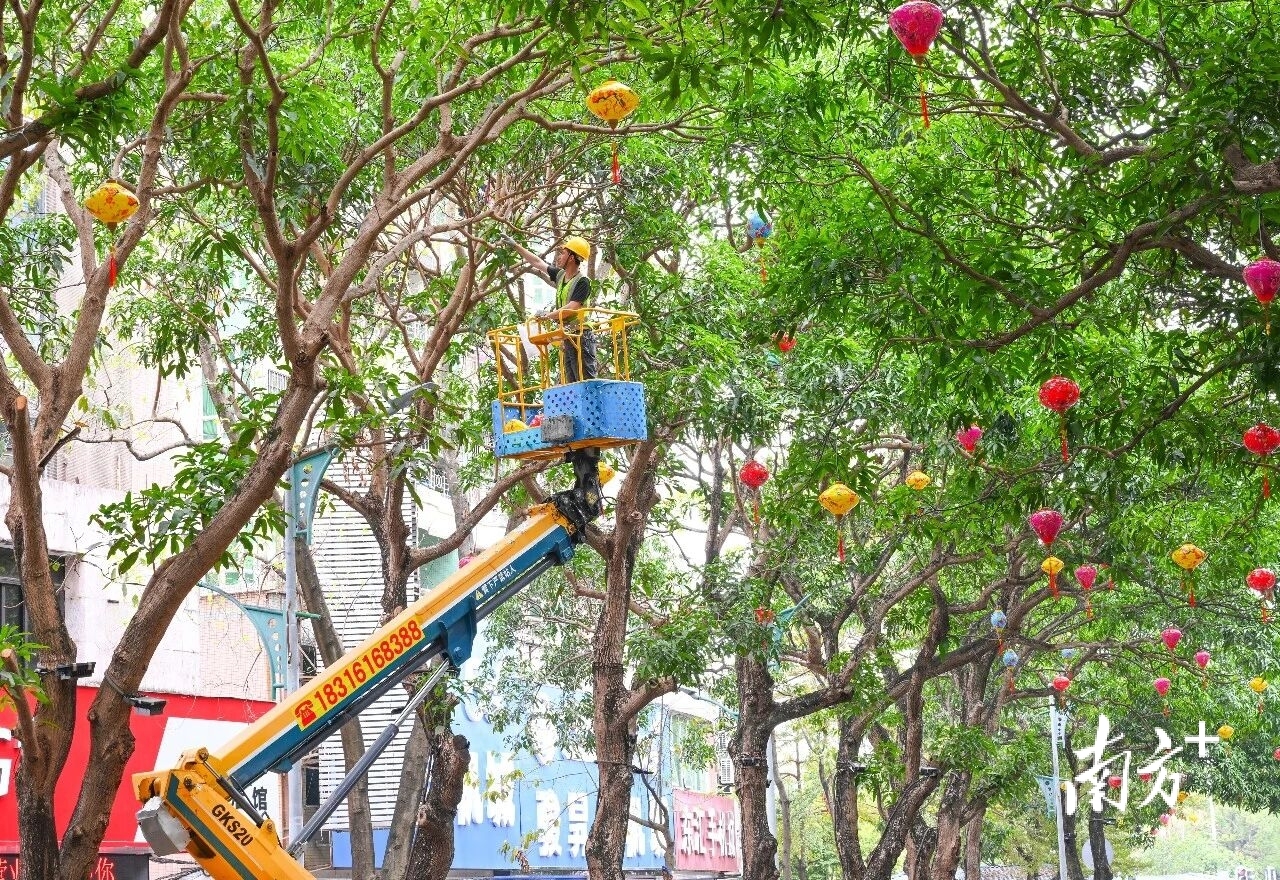 在东风一路、沿湖路、西平北路等路段，施工人员正有序地将灯笼装点在行道树与廊道两侧。 梁文栋 摄