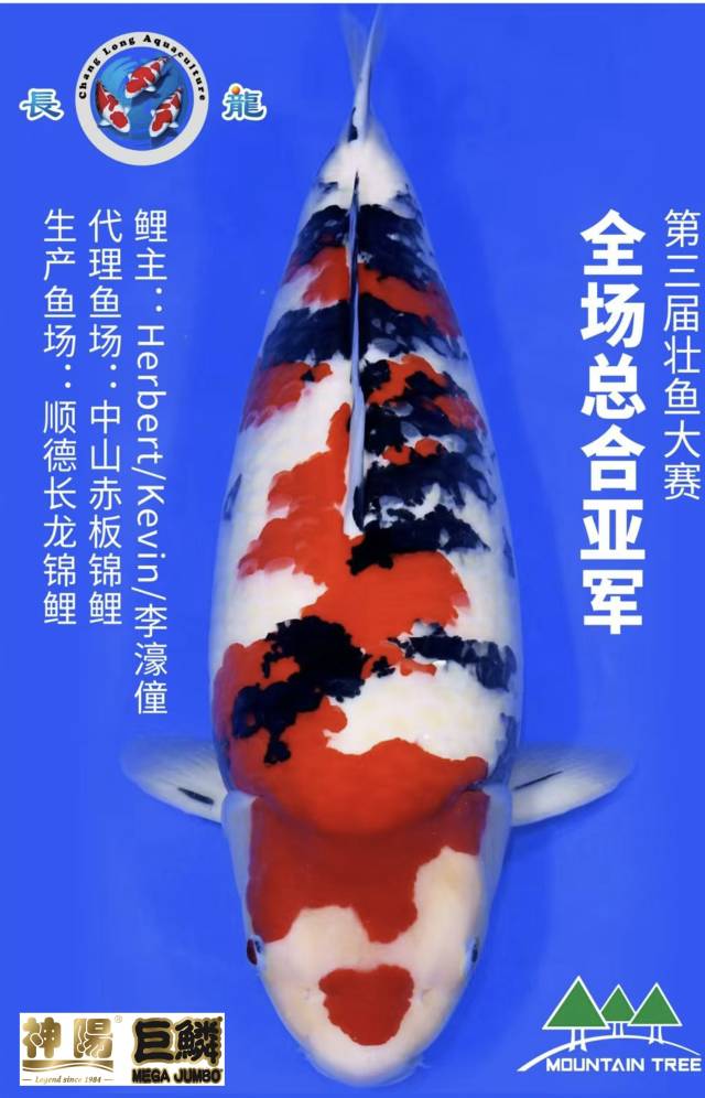 南方农村报 杨玲 拍摄