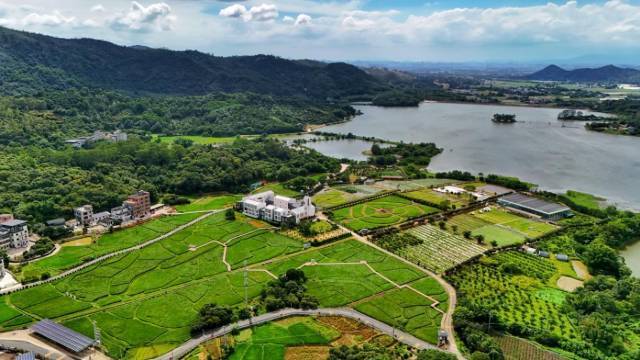 黄洞村田园综合体。
