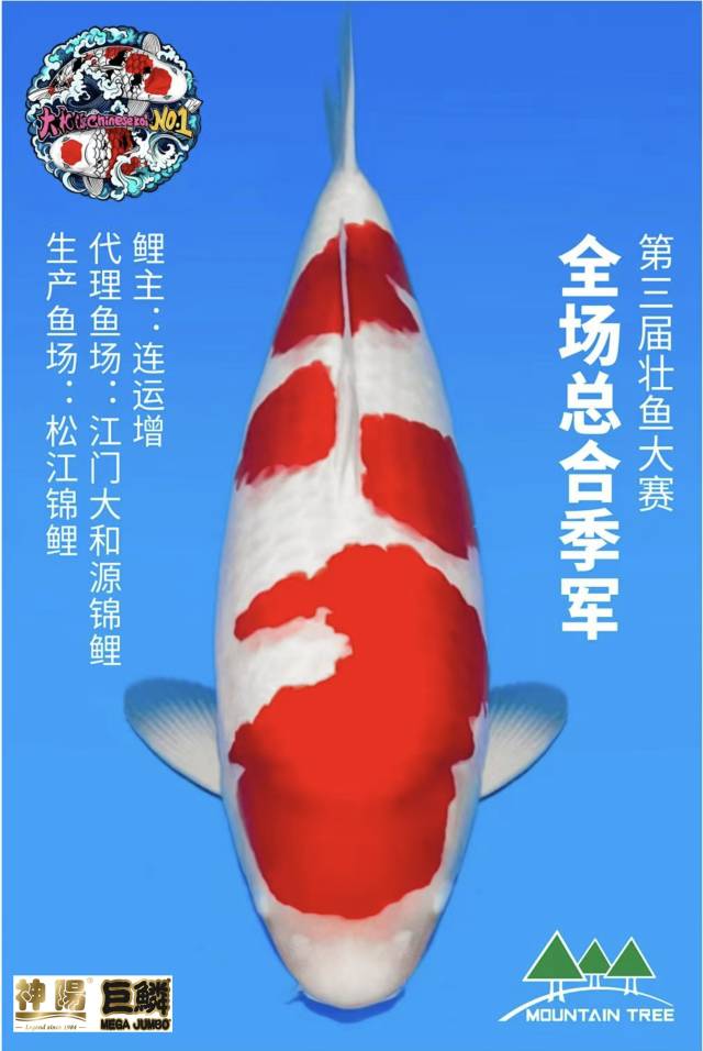 南方农村报 杨玲 拍摄